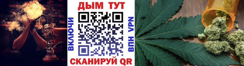 где найти   Таштагол  Каннабис сатива 